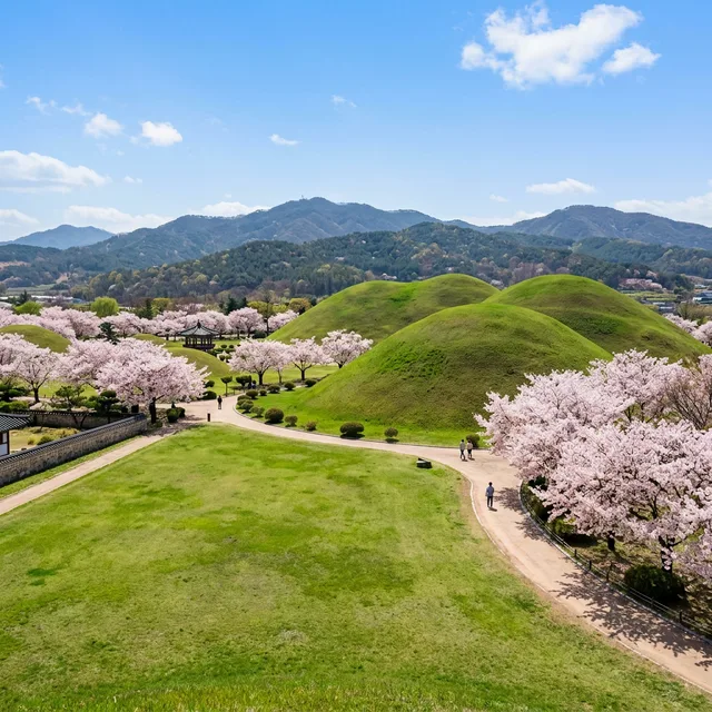 Exploring Gyeongju: How to Visit Korea's Open-Air Museum City