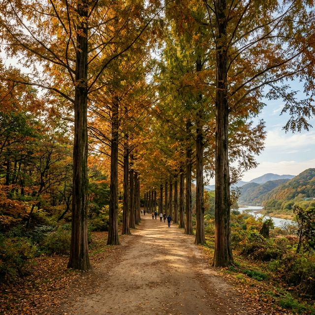 A Photographer's Guide to Nami Island