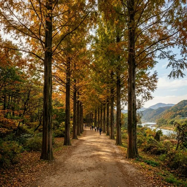 A Photographer’s Guide to Nami Island and Gapyeong